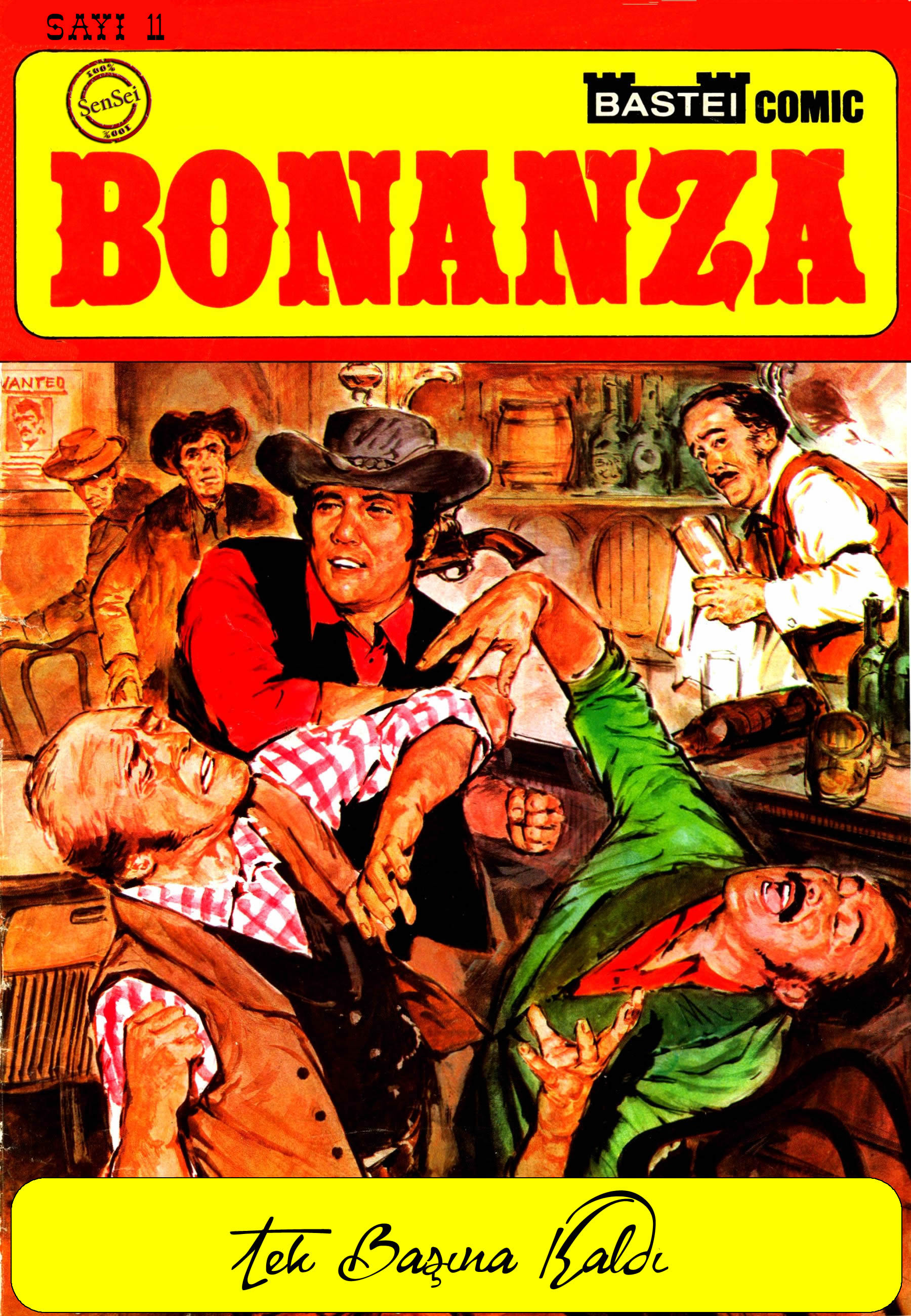 BONANZA 11 011