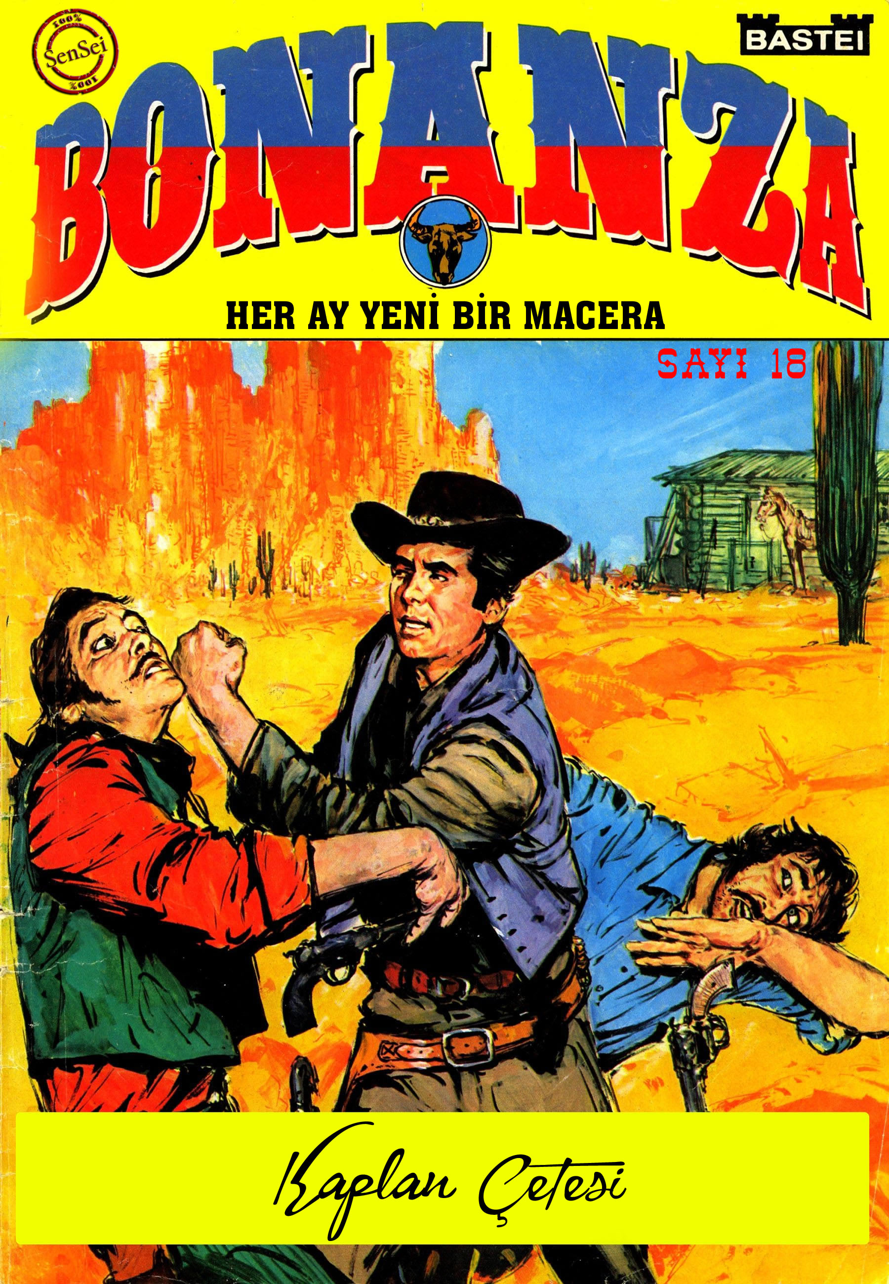 BONANZA 18 018