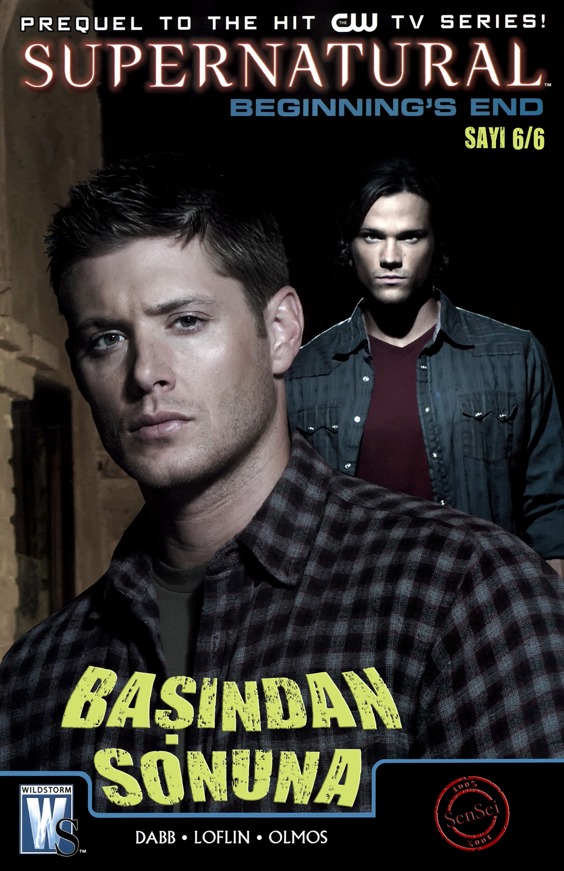 SUPERNATURAL: BEGINNING'S END 6