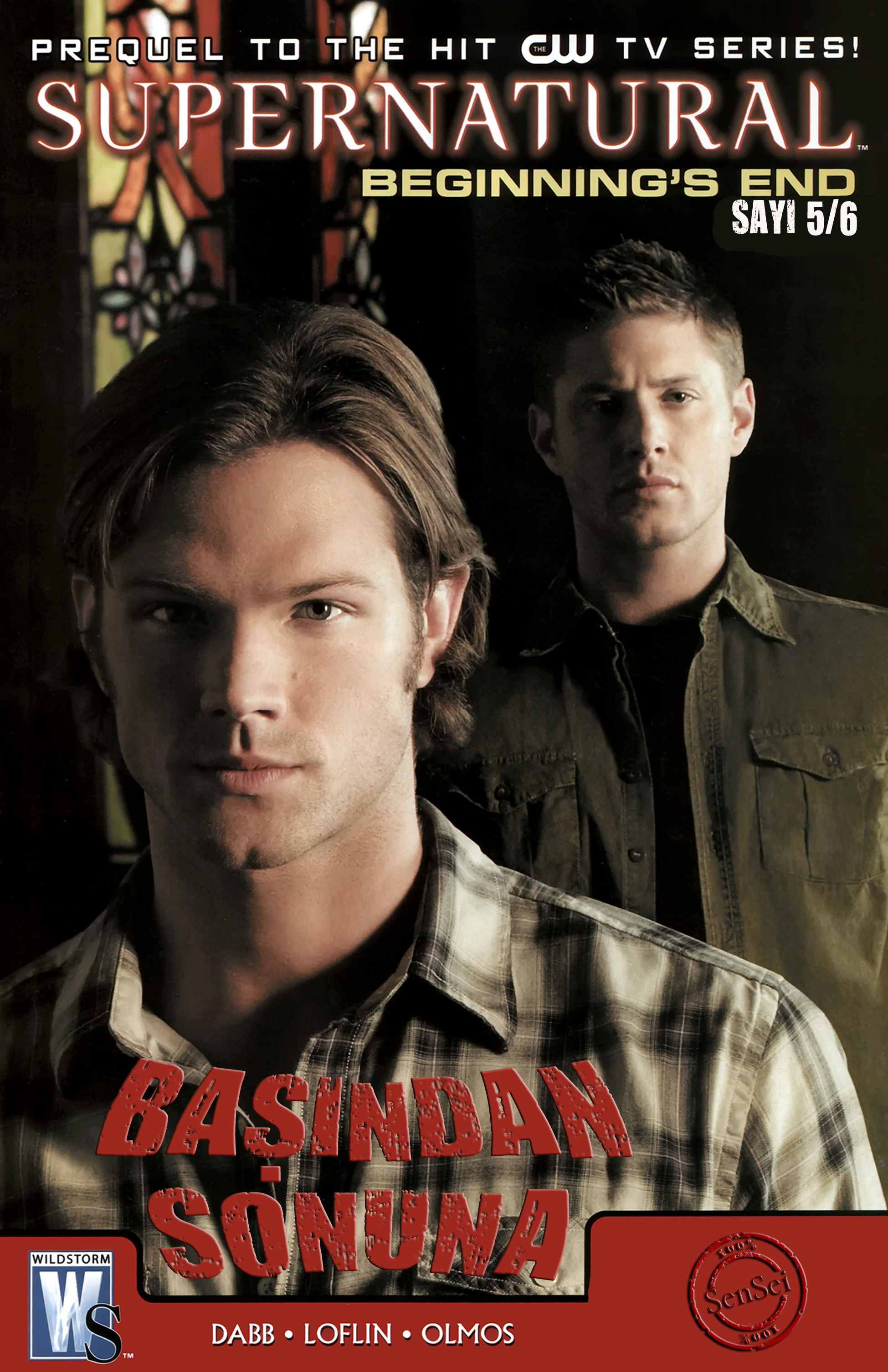 SUPERNATURAL: BEGINNING'S END 5